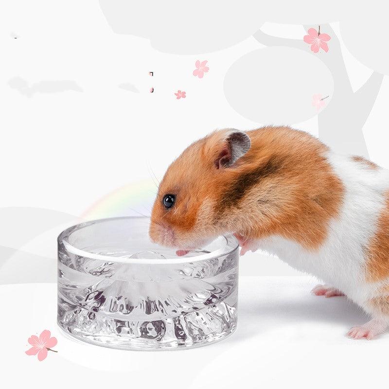 Golden Bear Glass Water Bowl - The Perfect Anti-Lifting Solution For Your Hamster